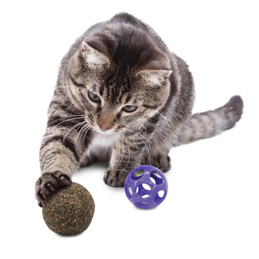 Blissy Moon Ball w/Catnip