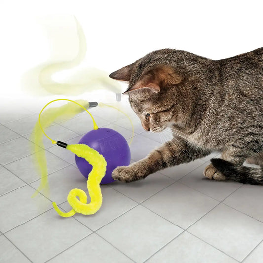 Purrsuit Whirlwind