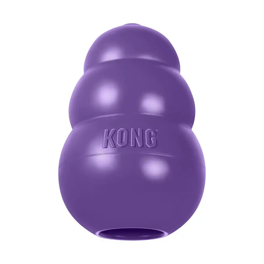 KONG Senior